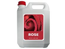 Rose Syrup