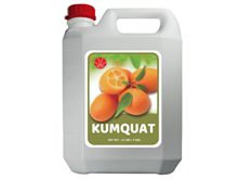 Oval Kumquat Syrup